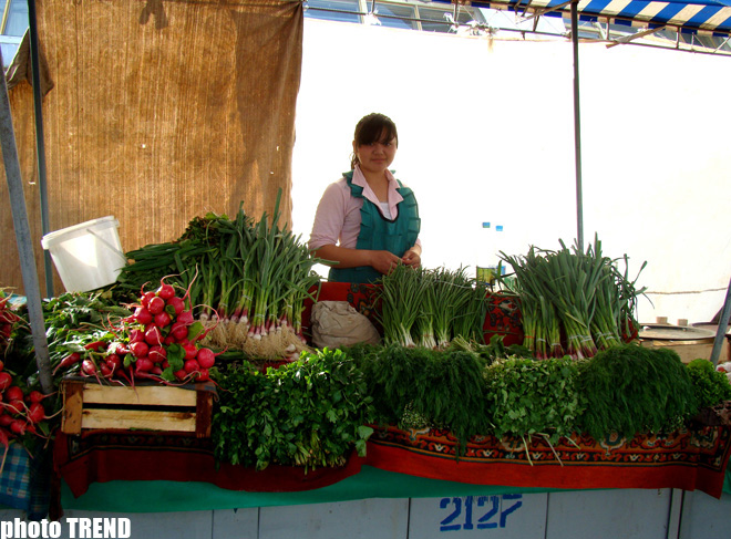 В солнечном Узбекистане - 20 лет спустя: азербайджанцы из XVI века, изюминки Ташкента, первое посольство (фотосессия, часть 2)