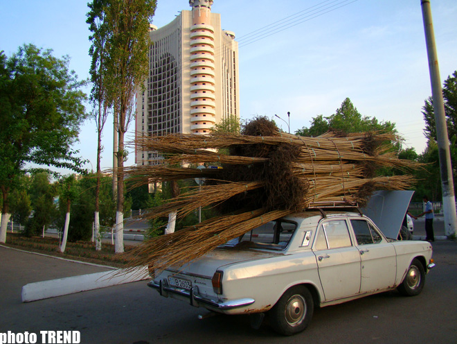 В солнечном Узбекистане - 20 лет спустя: азербайджанцы из XVI века, изюминки Ташкента, первое посольство (фотосессия, часть 2)