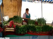 В солнечном Узбекистане - 20 лет спустя: азербайджанцы из XVI века, изюминки Ташкента, первое посольство (фотосессия, часть 2)