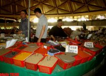 В солнечном Узбекистане - 20 лет спустя: азербайджанцы из XVI века, изюминки Ташкента, первое посольство (фотосессия, часть 2)