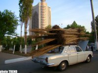 В солнечном Узбекистане - 20 лет спустя: азербайджанцы из XVI века, изюминки Ташкента, первое посольство (фотосессия, часть 2)