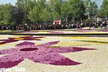 В Баку состоялся Праздник цветов, концерт и грандиозный фейерверк (фотосессия)