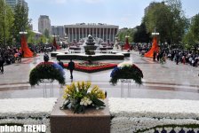 В Баку состоялся Праздник цветов, концерт и грандиозный фейерверк (фотосессия)