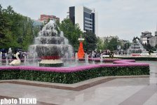 В Баку состоялся Праздник цветов, концерт и грандиозный фейерверк (фотосессия)
