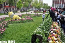 В Баку состоялся Праздник цветов, концерт и грандиозный фейерверк (фотосессия)