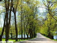 В гостях у старой доброй Беларуси: крамбамбуля, драники, колдуны… (фотосессия, часть 2)