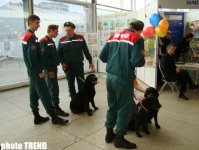 В гостях у старой доброй Беларуси: крамбамбуля, драники, колдуны… (фотосессия, часть 2)