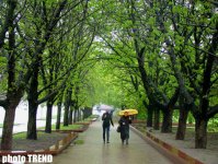 В гостях у старой доброй Беларуси: крамбамбуля, драники, колдуны… (фотосессия, часть 2)