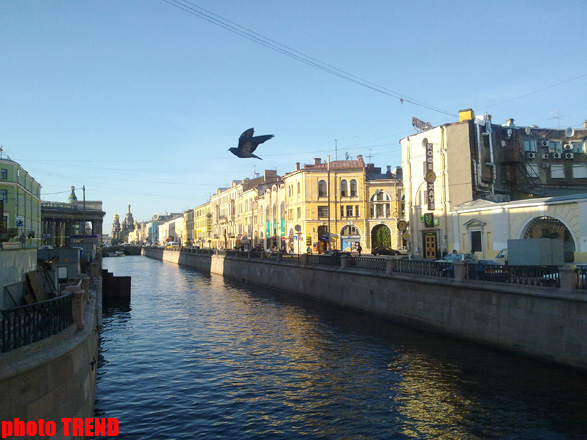 В Петербурге начал работу международный музейный форум