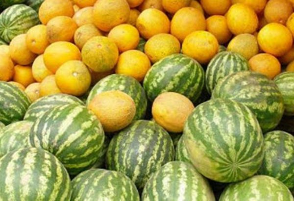 В Азербайджане предлагают проверять арбузы и дыни до выхода на рынок