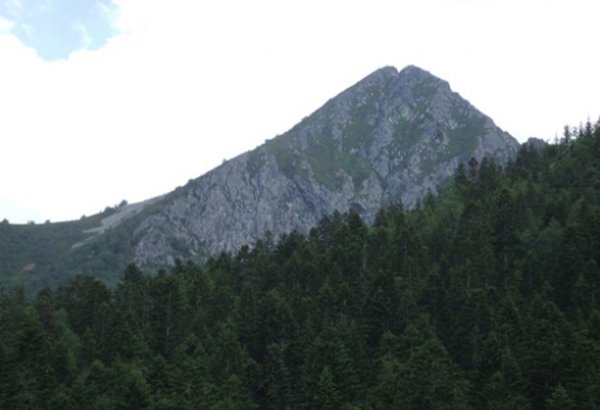 89-летняя американка побила мировой рекорд, поднявшись на Килиманджаро