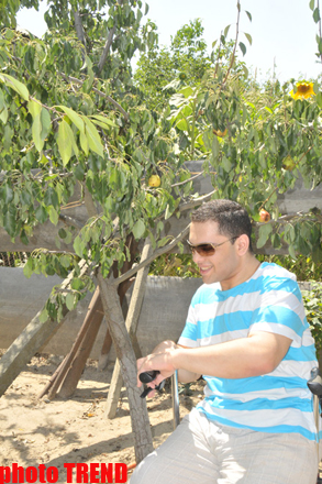 Самурай Мурад Садых в саду бабушки: подсолнух, домино и нарисованная собака (фотосессия)