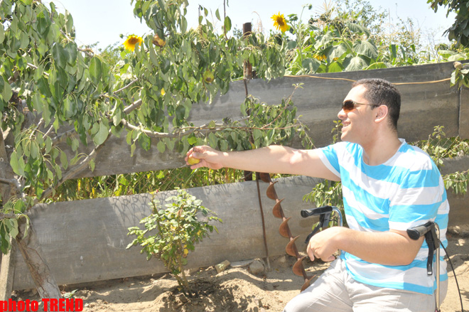 Самурай Мурад Садых в саду бабушки: подсолнух, домино и нарисованная собака (фотосессия)
