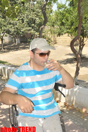 Самурай Мурад Садых в саду бабушки: подсолнух, домино и нарисованная собака (фотосессия)