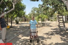 Самурай Мурад Садых в саду бабушки: подсолнух, домино и нарисованная собака (фотосессия)