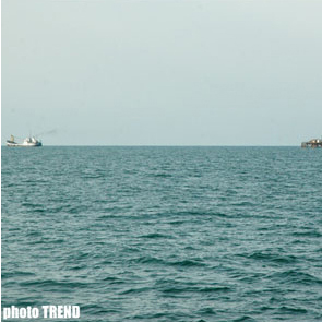 Медведев призвал страны Каспия вместе заняться сохранением осетровых