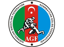 Азербайджанский борец-чемпион мира умер после продолжительной болезни