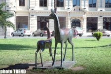 "Красоты Батуми - день, закат, вечер" - глазами азербайджанца (фотосессия)