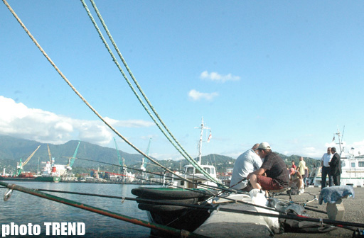 "Красоты Батуми - день, закат, вечер" - глазами азербайджанца (фотосессия)