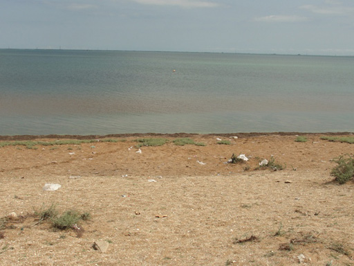 В международный день чистоты побережье Гобустана очистят от мусора (фото)