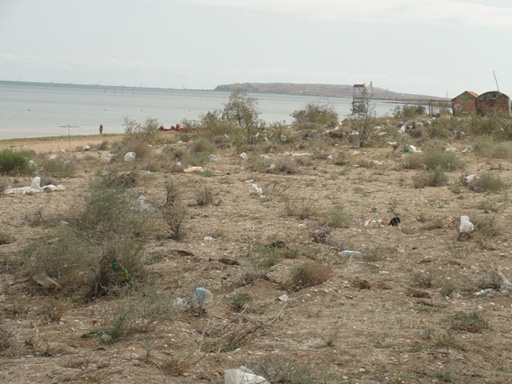 В международный день чистоты побережье Гобустана очистят от мусора (фото)