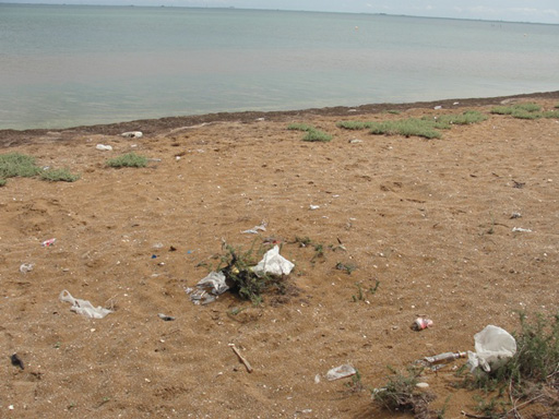 В международный день чистоты побережье Гобустана очистят от мусора (фото)