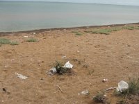 В международный день чистоты побережье Гобустана очистят от мусора (фото)