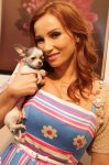 Сколько российские звезды тратят на своих питомцев? (фотосессия)