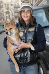 Сколько российские звезды тратят на своих питомцев? (фотосессия)