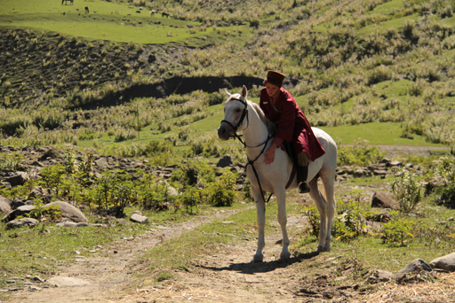 Арабский скакун Эльдара Гасымова - знаменитые кони Македонского, Калигулы, Жукова… (фотосессия)