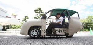 Самый безопасный автомобиль в мире (фото)