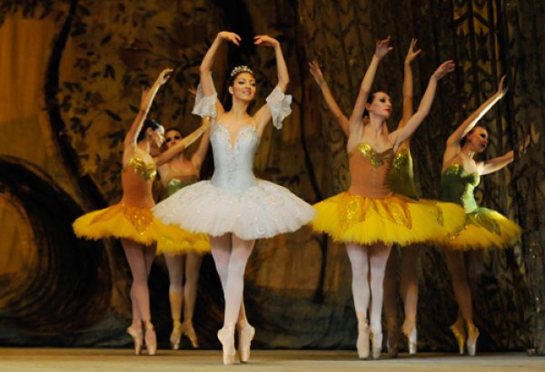 Чинара Ализаде и Ульви Азизов выступят в Латвии