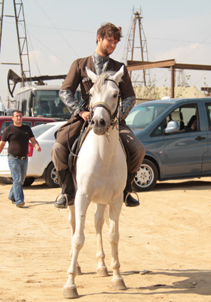 Арабский скакун Эльдара Гасымова - знаменитые кони Македонского, Калигулы, Жукова… (фотосессия)