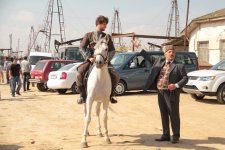 Арабский скакун Эльдара Гасымова - знаменитые кони Македонского, Калигулы, Жукова… (фотосессия)