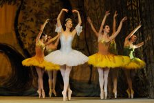 Чинара Ализаде и Ульви Азизов выступят в Латвии