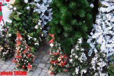 Новогодние улицы Баку - как встретить год Дракона, гороскоп (фотосессия)