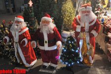 Новогодние улицы Баку - как встретить год Дракона, гороскоп (фотосессия)