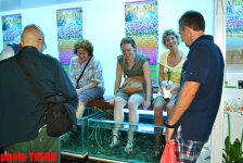 Чудеса Таиланда: тайский массаж, дешевые отели, опасные тук-туки, дуриан  (фото, часть 2)