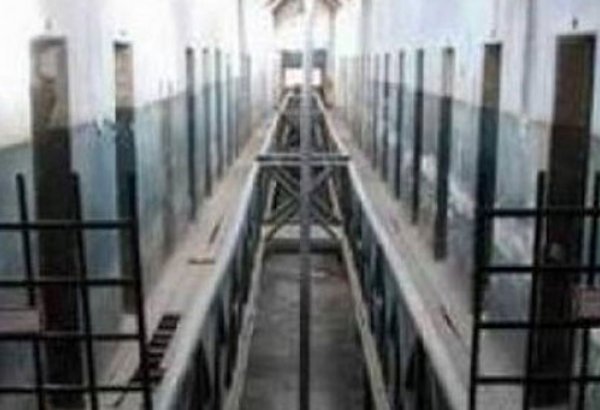 Экс-министр спорта и молодежи Грузии выпущен из тюрьмы под залог