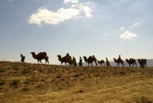 В Баку состоялась премьера фильма "Вестник рассвета" – зрители аплодировали стоя (фотосессия)