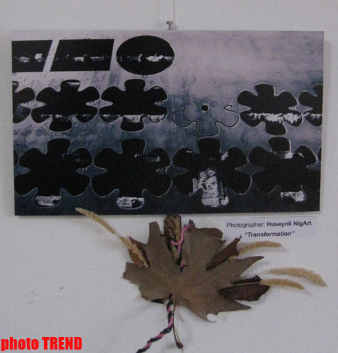 В Баку показали "Абстрактную реальность" (фотосессия)