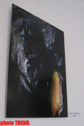 В Баку показали "Абстрактную реальность" (фотосессия)