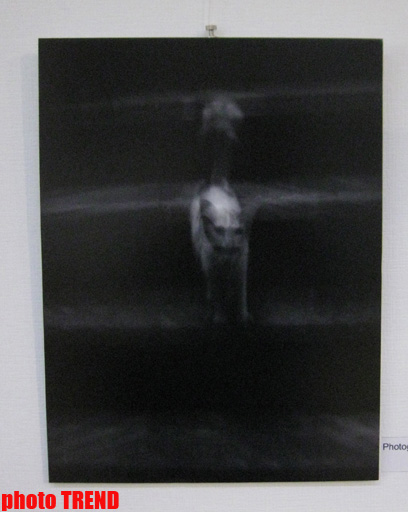 В Баку показали "Абстрактную реальность" (фотосессия)