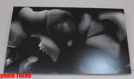 В Баку показали "Абстрактную реальность" (фотосессия)