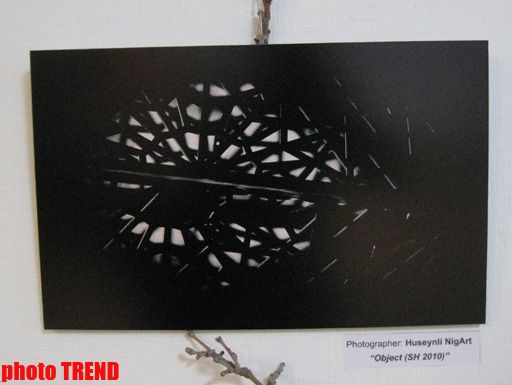 В Баку показали "Абстрактную реальность" (фотосессия)