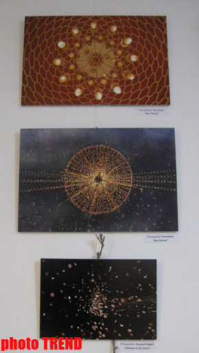 В Баку показали "Абстрактную реальность" (фотосессия)