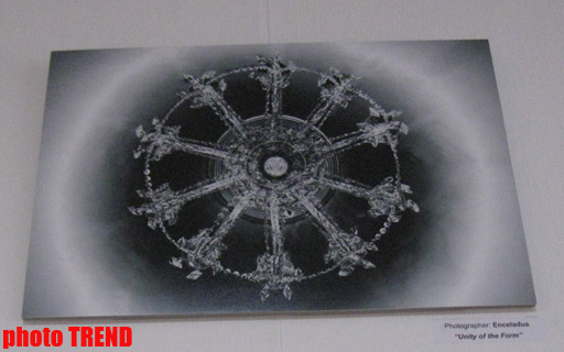 В Баку показали "Абстрактную реальность" (фотосессия)