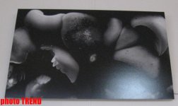 В Баку показали "Абстрактную реальность" (фотосессия)