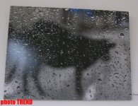 В Баку показали "Абстрактную реальность" (фотосессия)