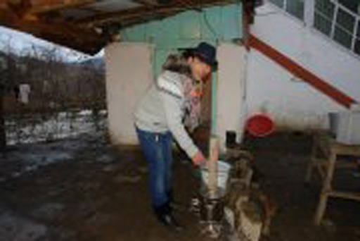 Телеведущий Забир Алиев о великолепии деревенской жизни: "Там все настоящее!" (фотосессия)